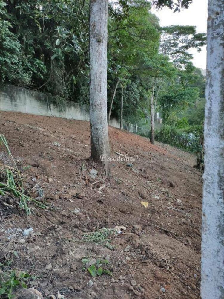 Terreno, 250 m² - Foto 2