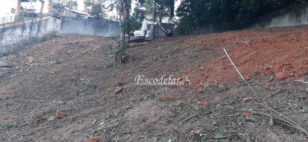 Terreno, 250 m² - Foto 1