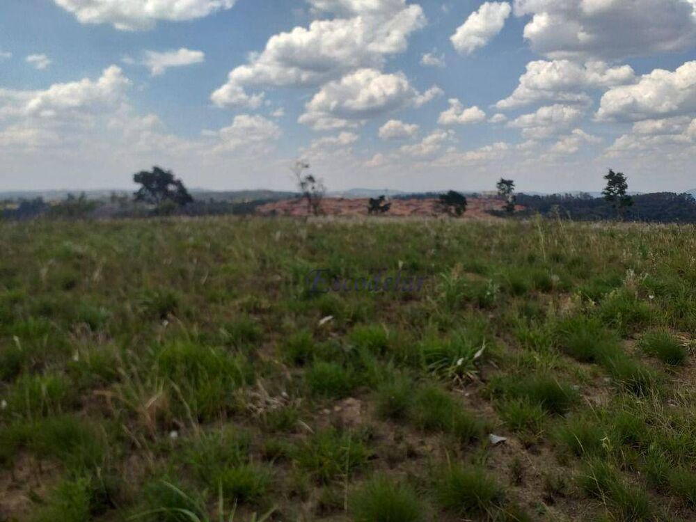 Terreno, 8 hectares - Foto 3