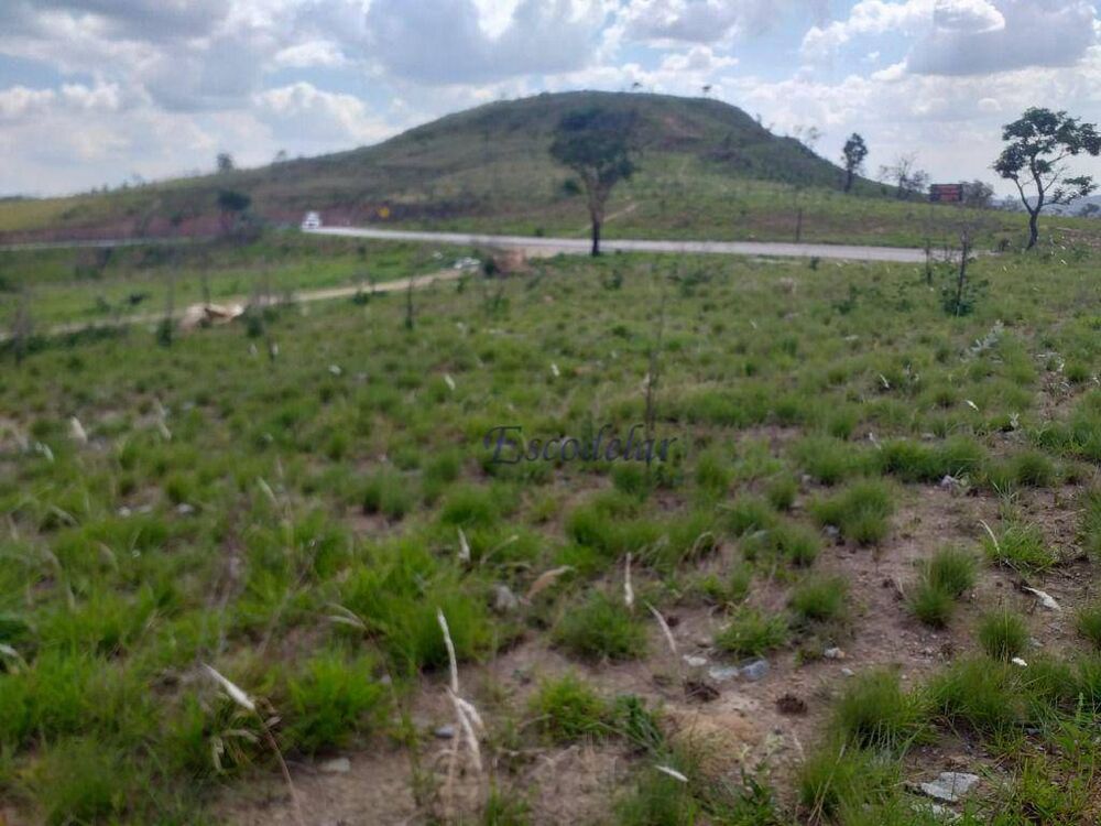 Terreno, 8 hectares - Foto 12