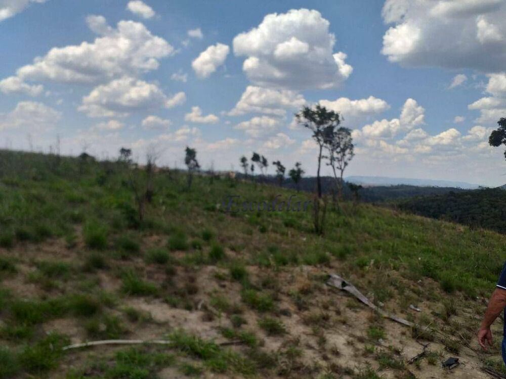 Terreno, 8 hectares - Foto 11