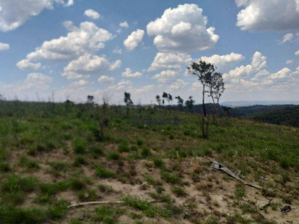 Terreno, 8 hectares - Foto 2