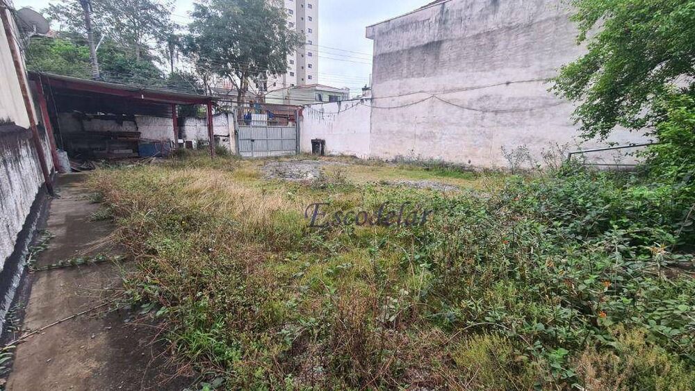 Terreno, 524 m² - Foto 3