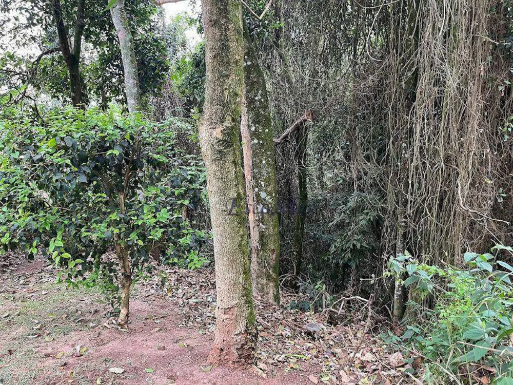 Loteamento e Condomínio, 1459 m² - Foto 7