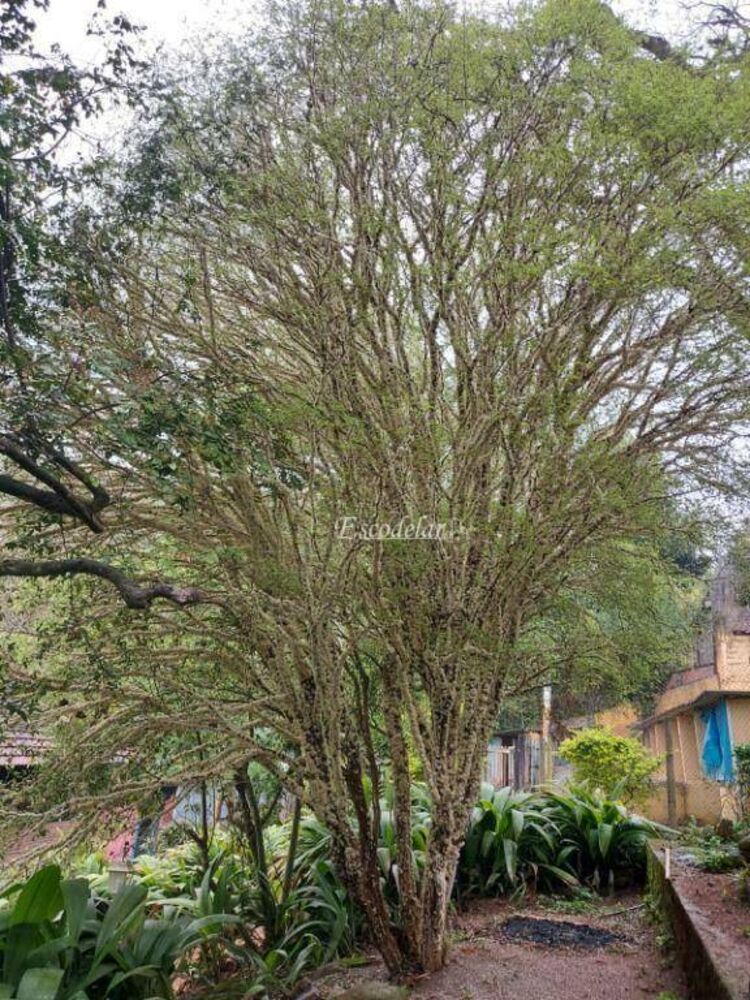 Casa, 2 quartos, 400 m² - Foto 4
