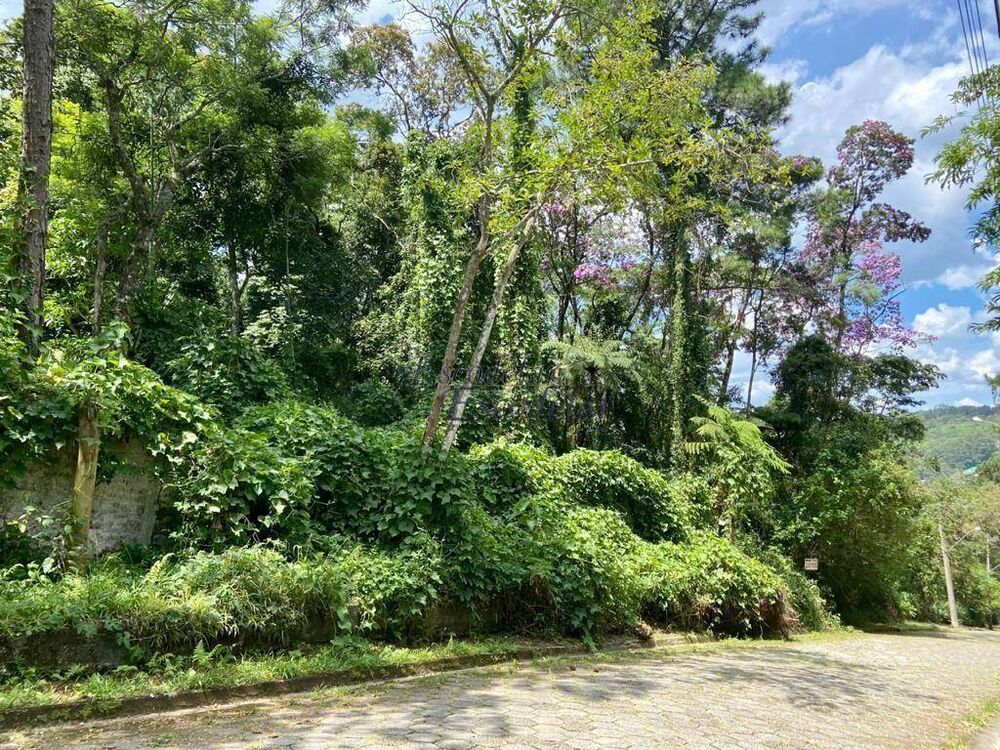 Loteamento e Condomínio, 1180 m² - Foto 3