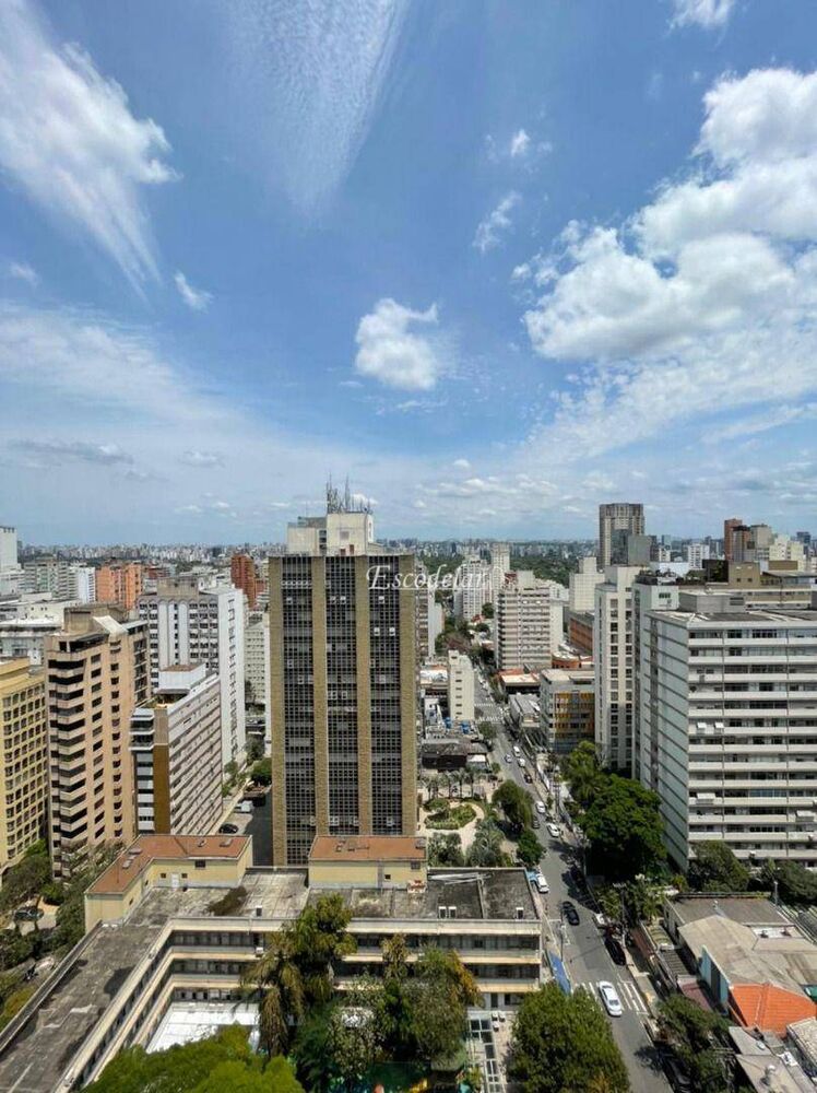 Apartamento, 3 quartos, 396 m² - Foto 3