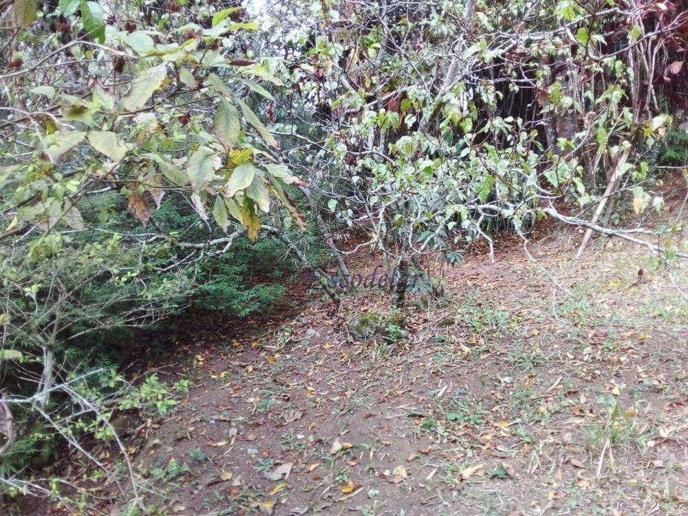 Terreno, 818 m² - Foto 13