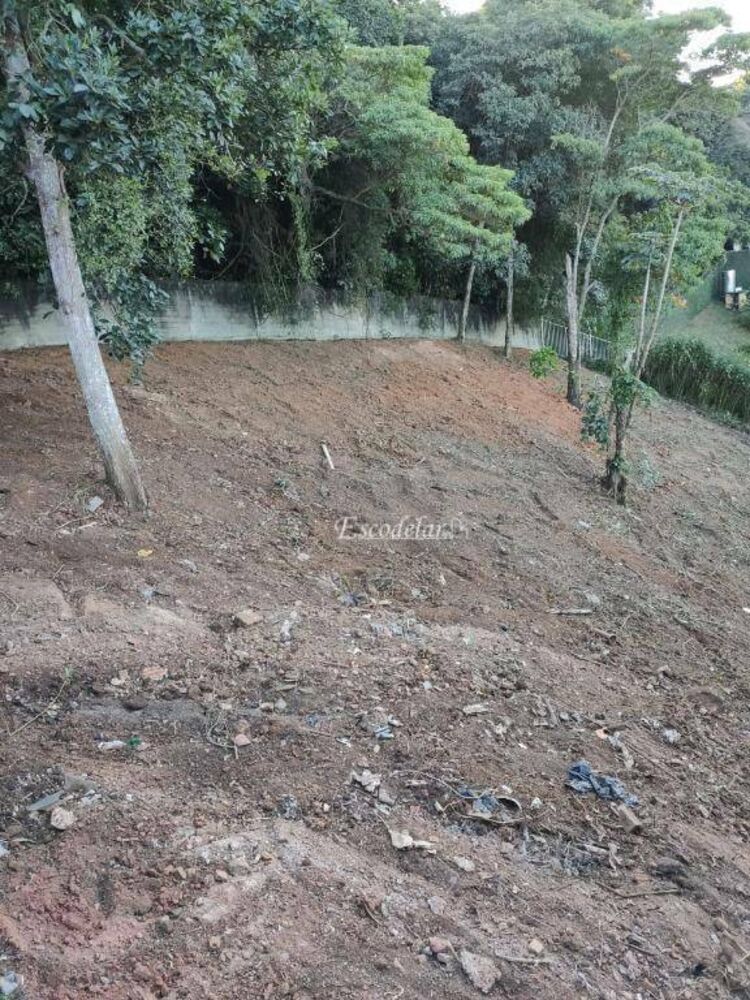 Terreno, 250 m² - Foto 4