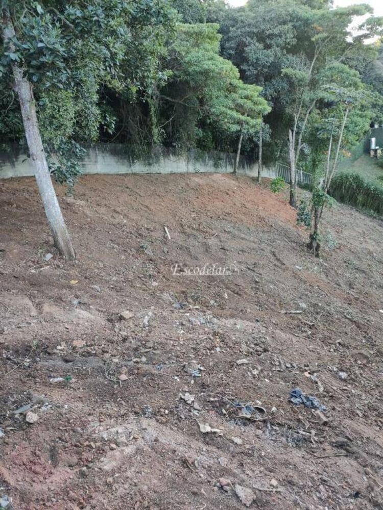 Terreno, 250 m² - Foto 1