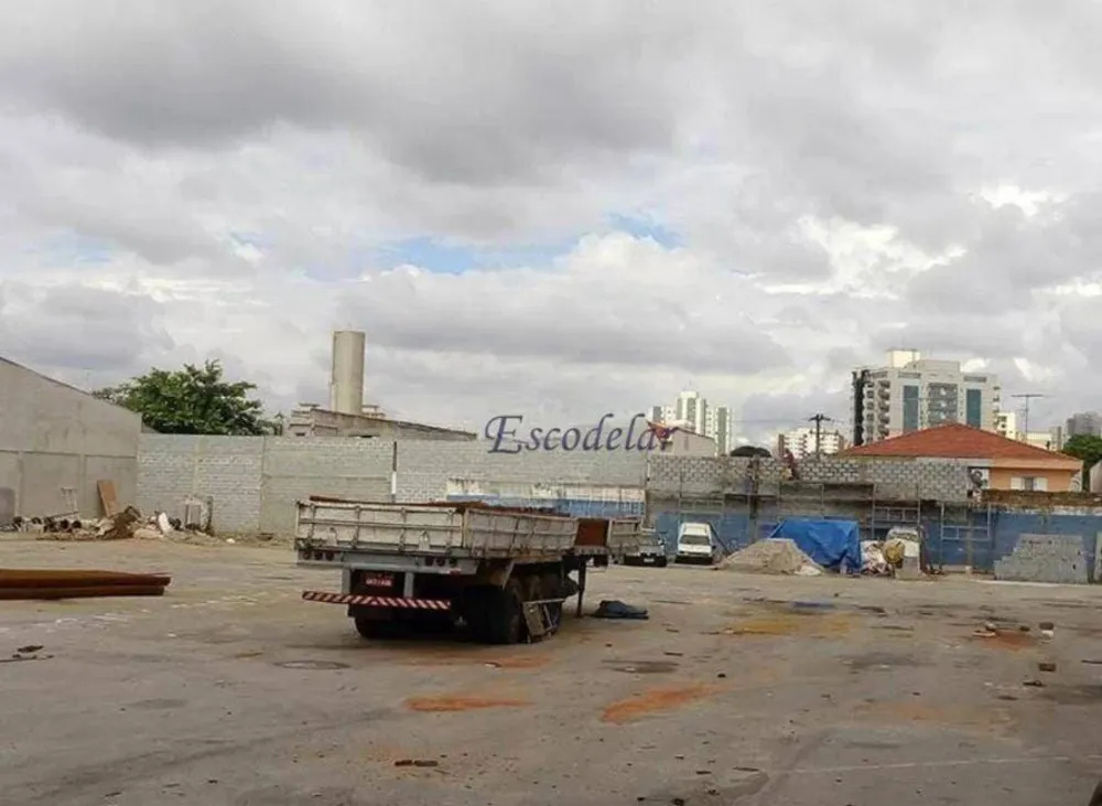 Terreno, 8000 m² - Foto 4