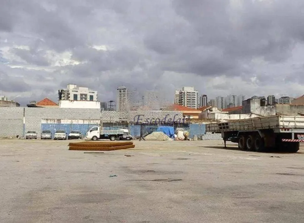 Terreno, 8000 m² - Foto 3