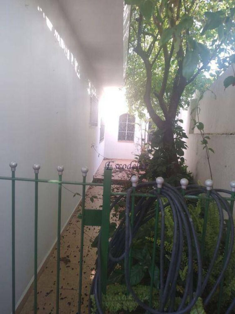 Casa, 3 quartos, 290 m² - Foto 10