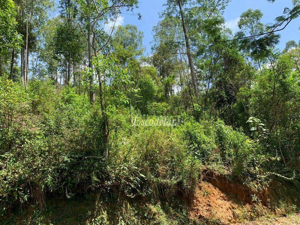 Terreno, 2160 m² - Foto 4