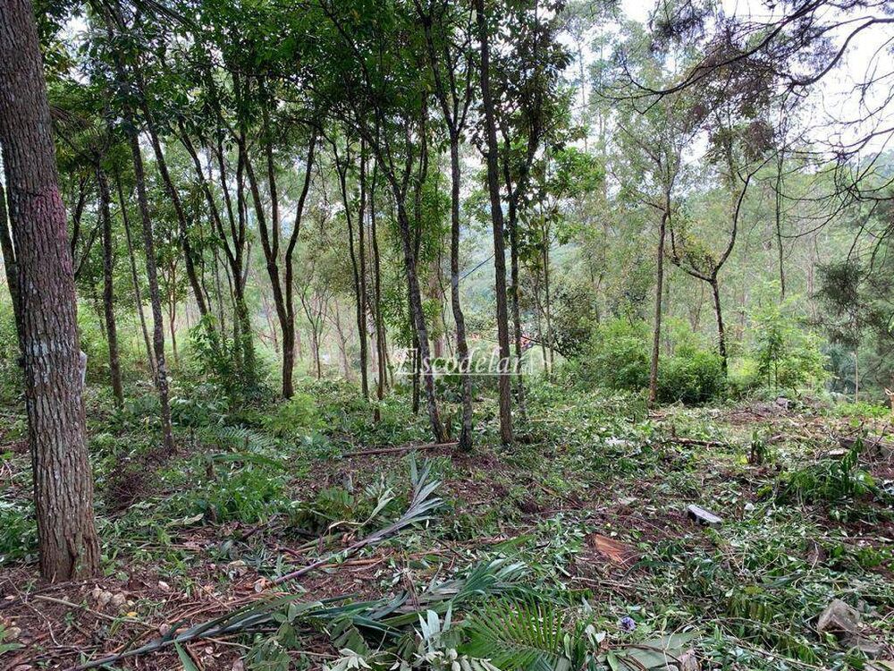 Terreno, 2160 m² - Foto 1