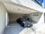 Sobrado, 5 quartos, 400 m² - Foto 21