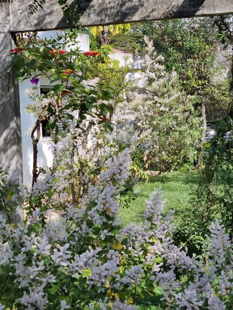 Casa, 4 quartos, 362 m² - Foto 3