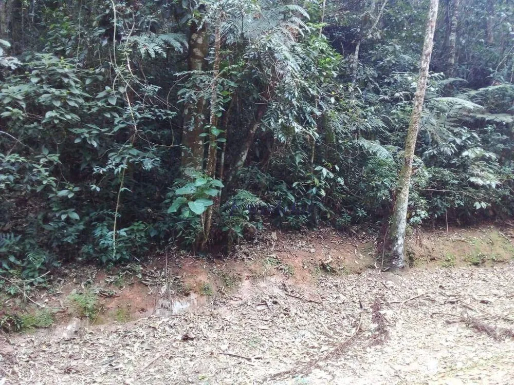 Loteamento e Condomínio, 1166 m² - Foto 3