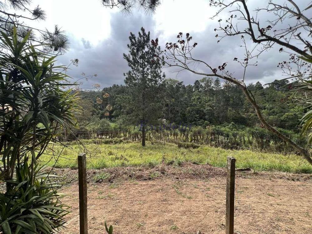 Terreno, 2 hectares - Foto 4