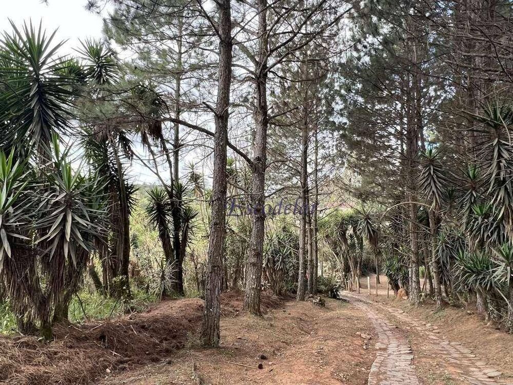 Terreno, 2 hectares - Foto 2