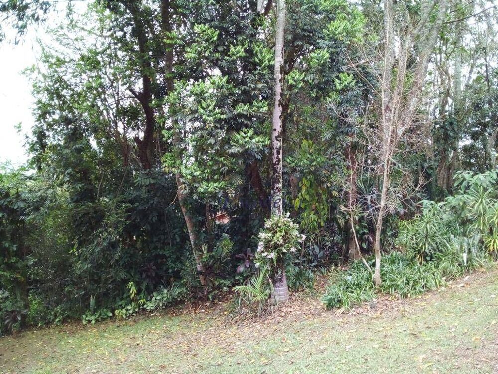 Terreno, 919 m² - Foto 4