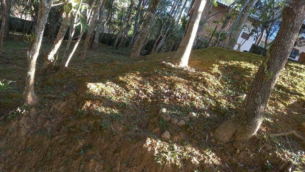 Casa, 4 quartos, 340 m² - Foto 3