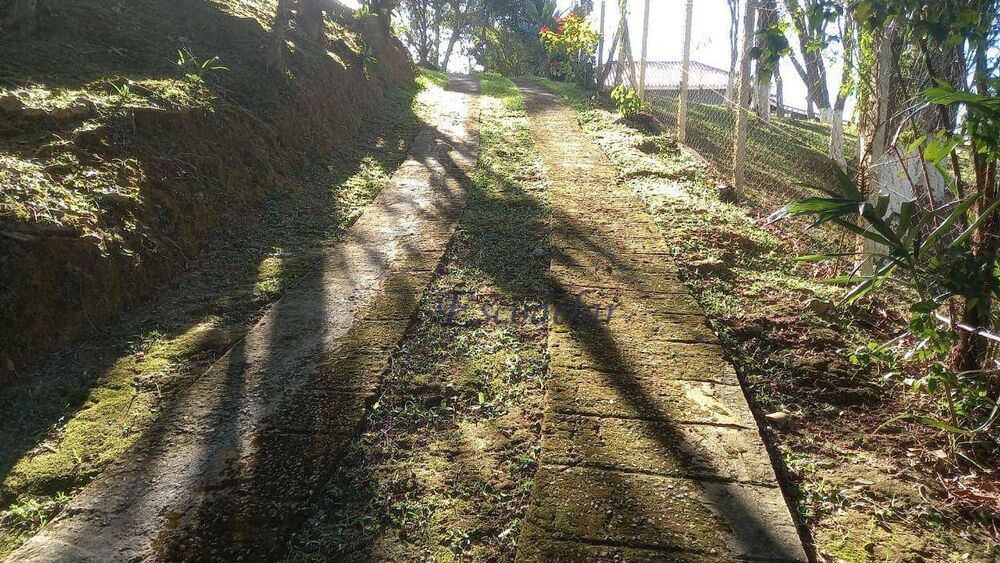 Casa, 4 quartos, 340 m² - Foto 8