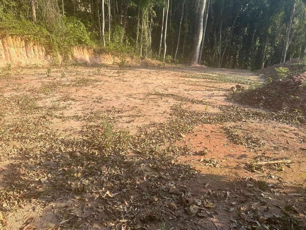 Loteamento e Condomínio, 1160 m² - Foto 3