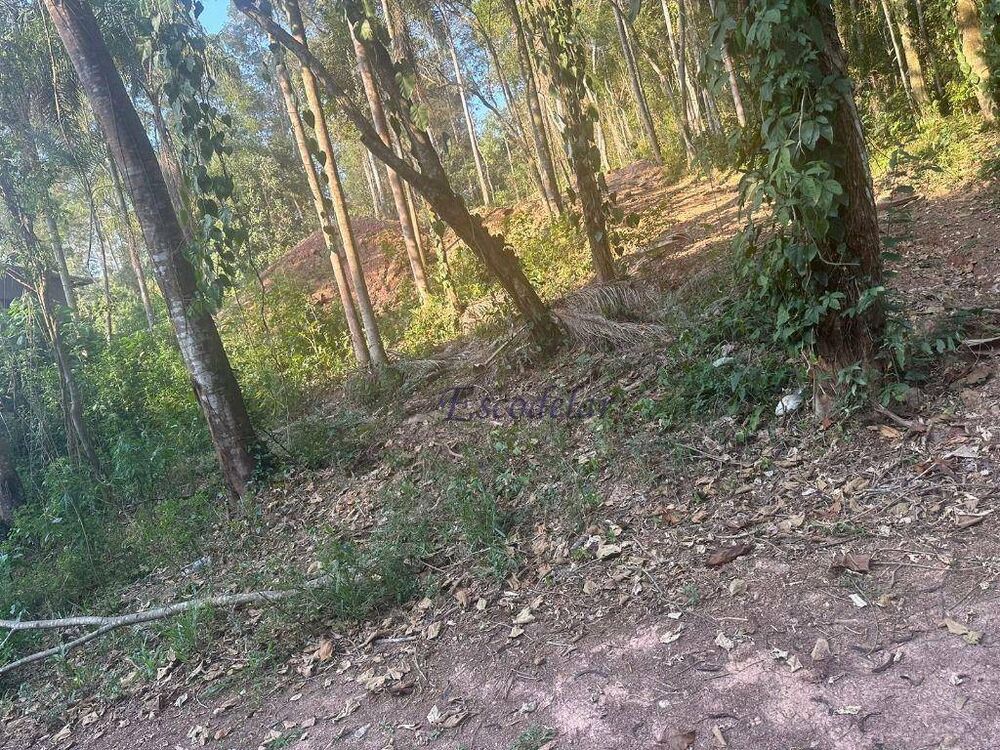 Loteamento e Condomínio, 1160 m² - Foto 4