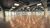 Sala-Conjunto, 779 m² - Foto 2