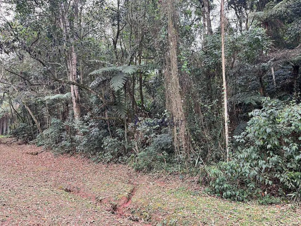 Loteamento e Condomínio, 1120 m² - Foto 6