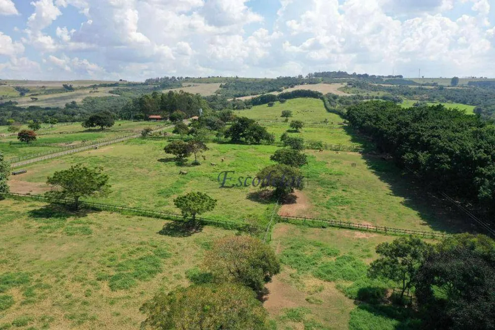 Fazenda, 206 hectares - Foto 4
