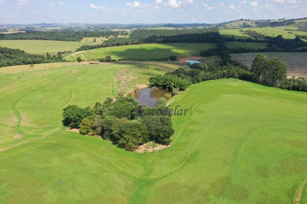 Fazenda, 206 hectares - Foto 3
