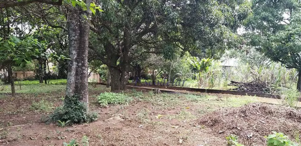 Chácara, 2 quartos, 5000 m² - Foto 16