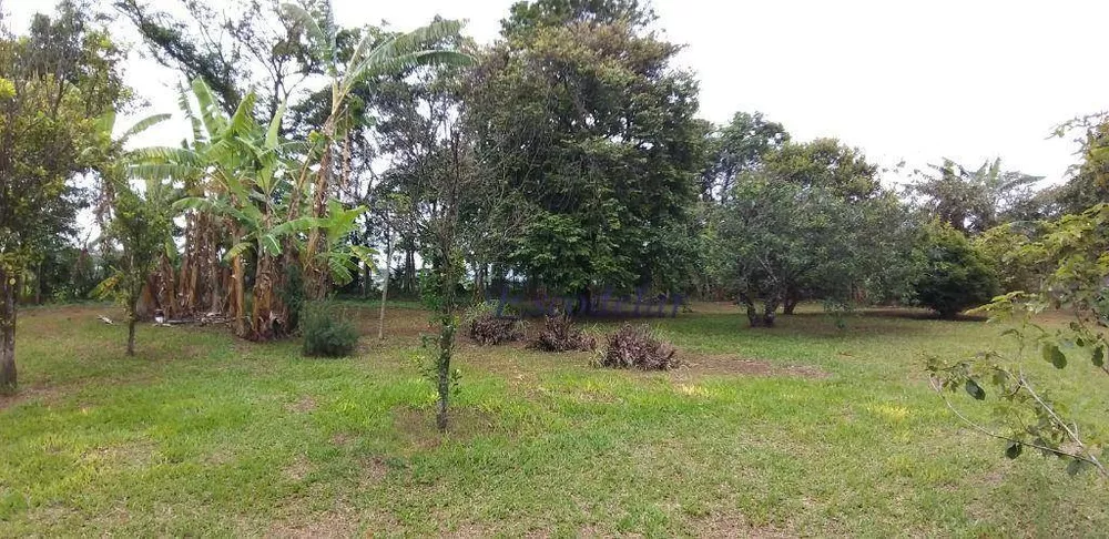 Chácara, 2 quartos, 5000 m² - Foto 12