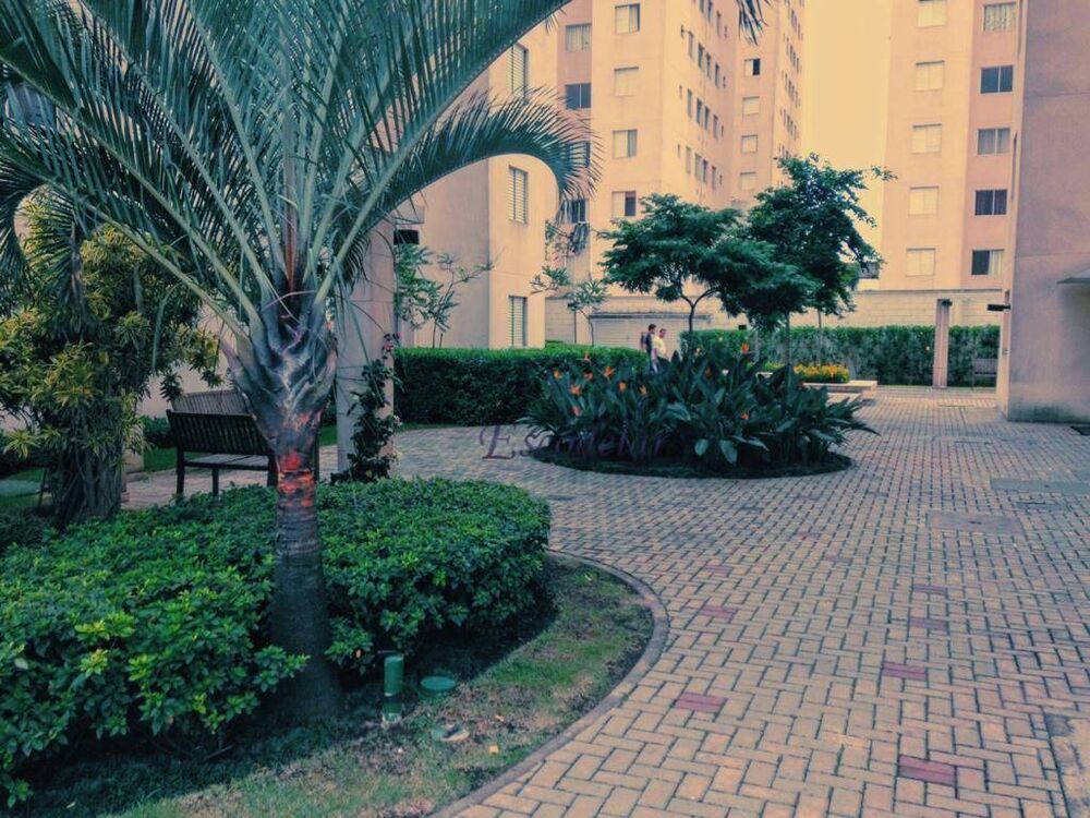 Apartamento, 2 quartos, 43 m² - Foto 3