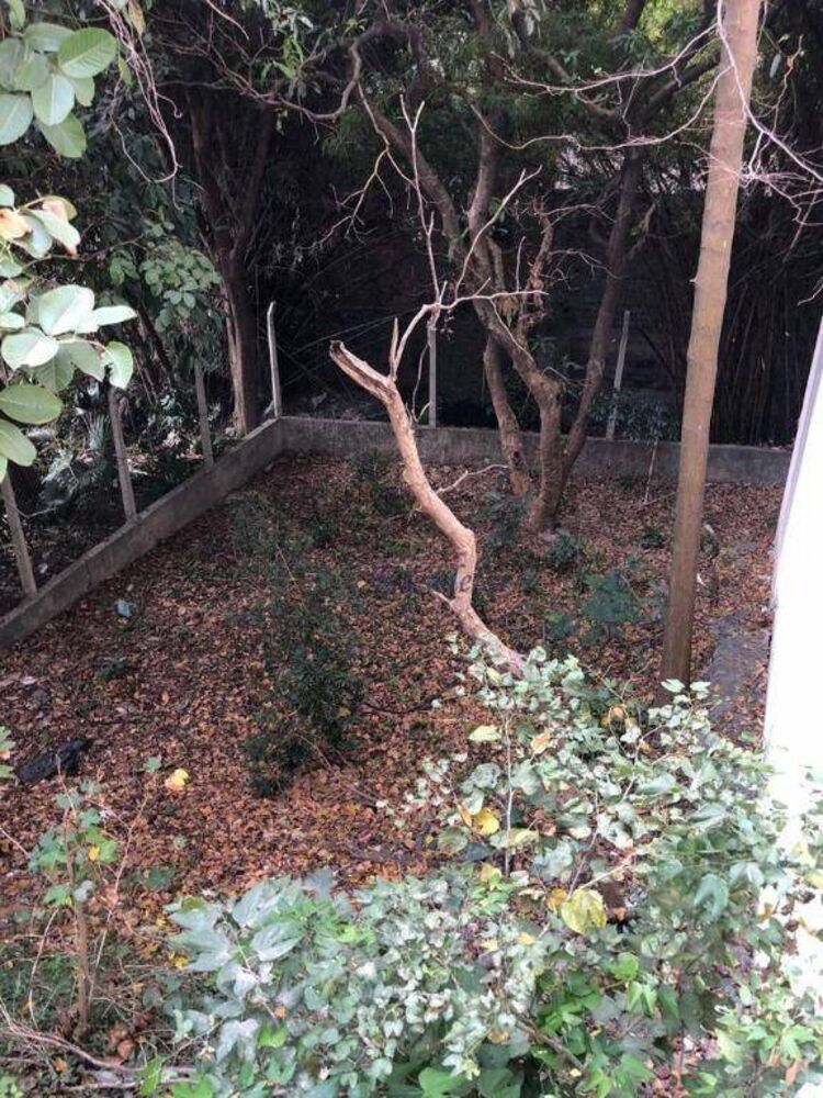 Sobrado, 4 quartos, 200 m² - Foto 23