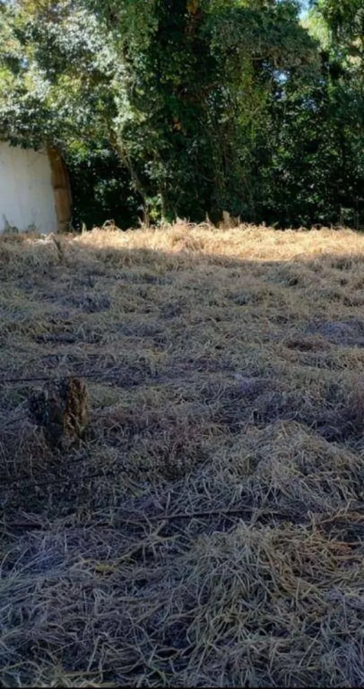 Terreno, 375 m² - Foto 7
