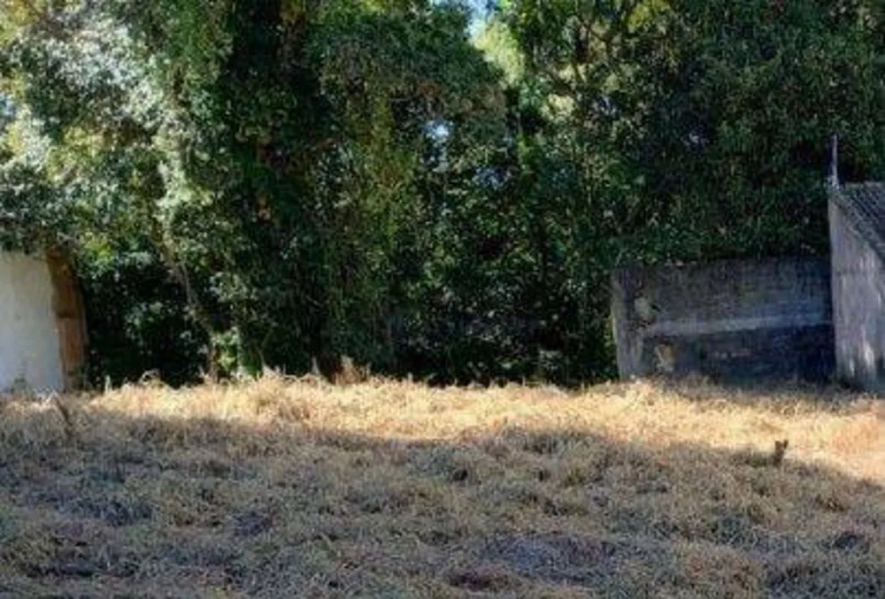 Terreno, 375 m² - Foto 8