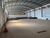 Depósito-Galpão, 1000 m² - Foto 3