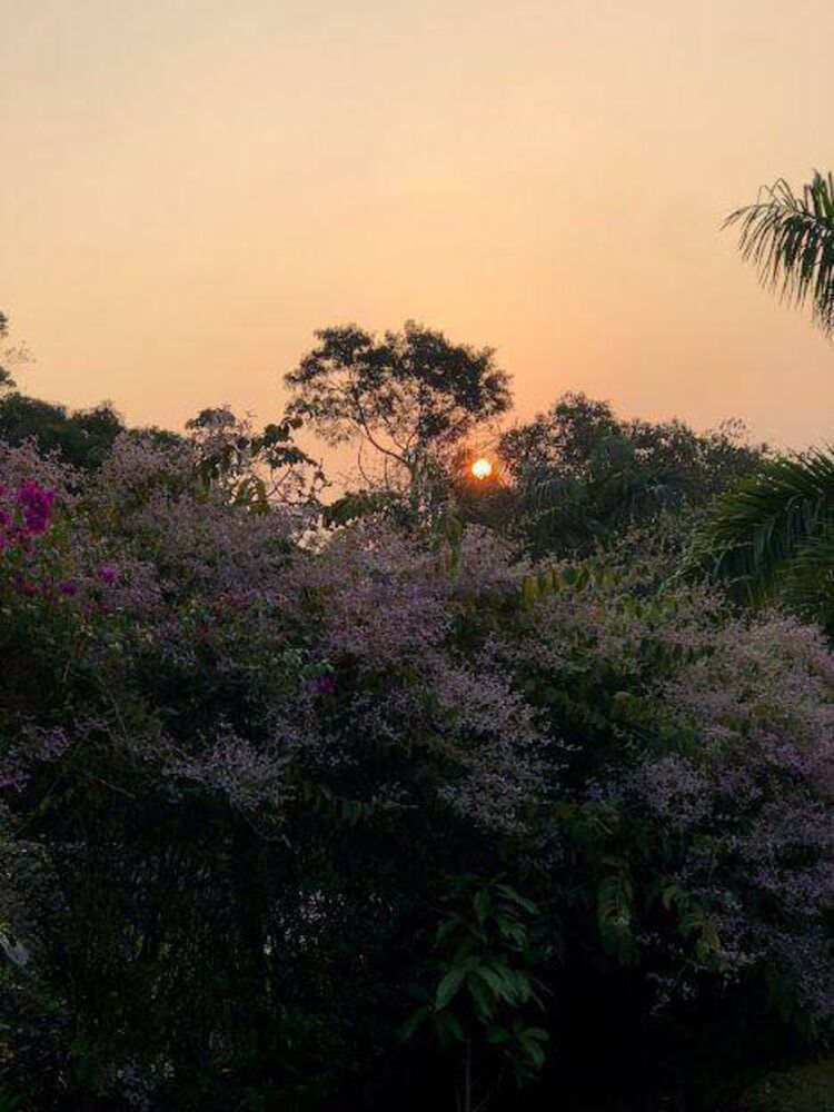 Terreno, 896 m² - Foto 3