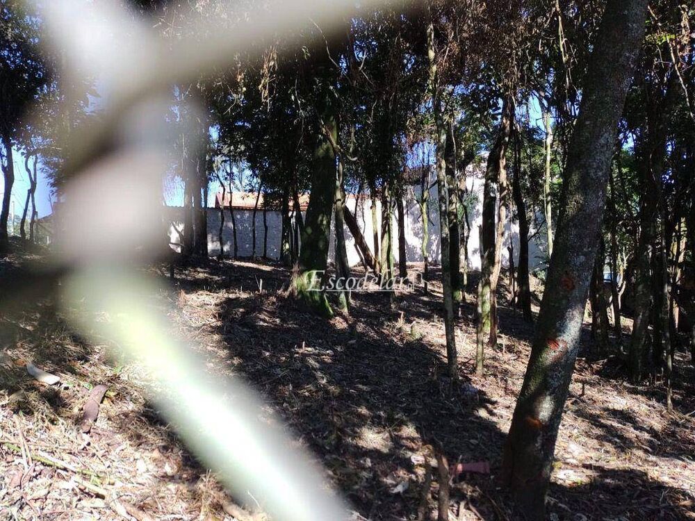Terreno, 477 m² - Foto 3
