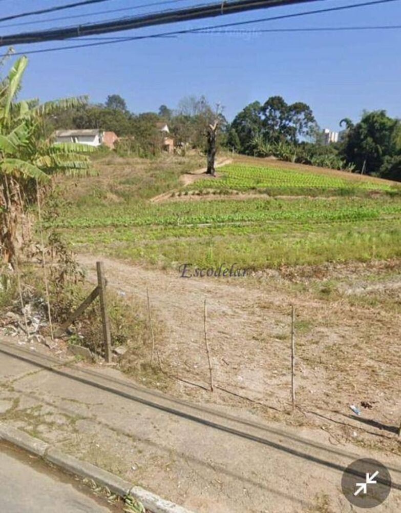 Terreno, 3 hectares - Foto 2