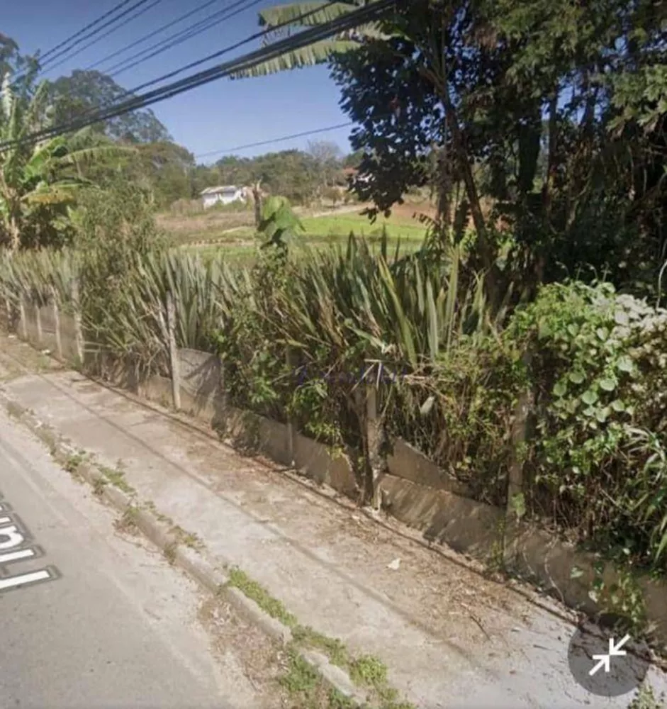 Terreno, 3 hectares - Foto 8
