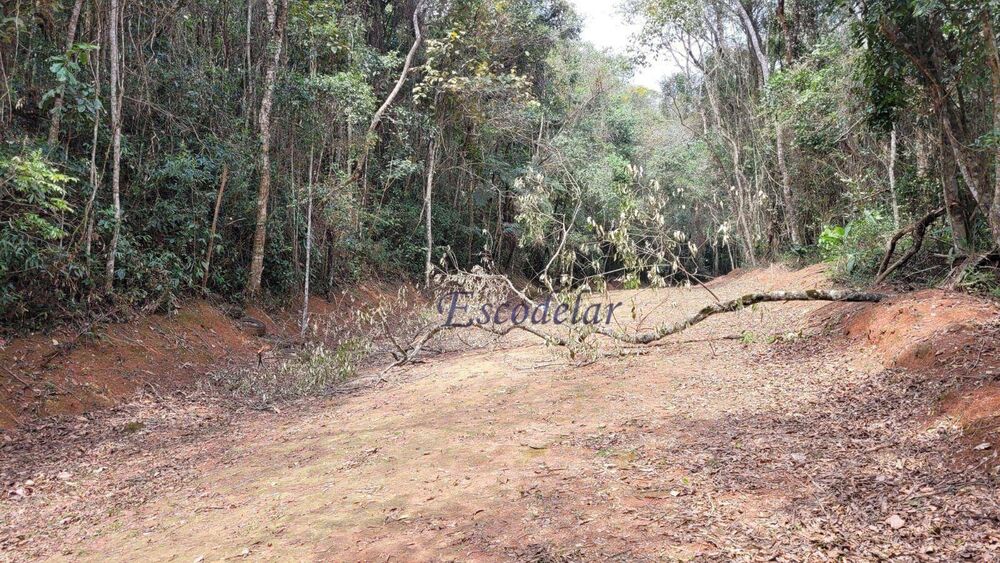 Terreno, 1281 m² - Foto 4