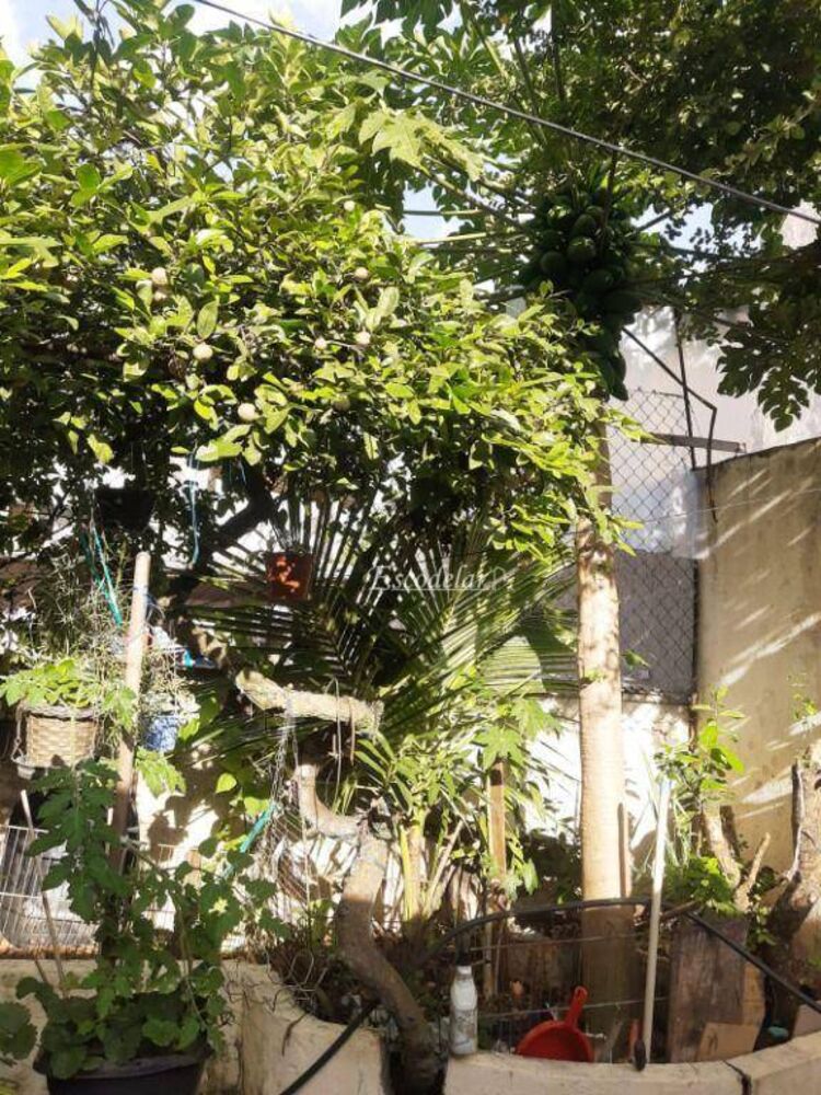 Sobrado, 2 quartos, 300 m² - Foto 4