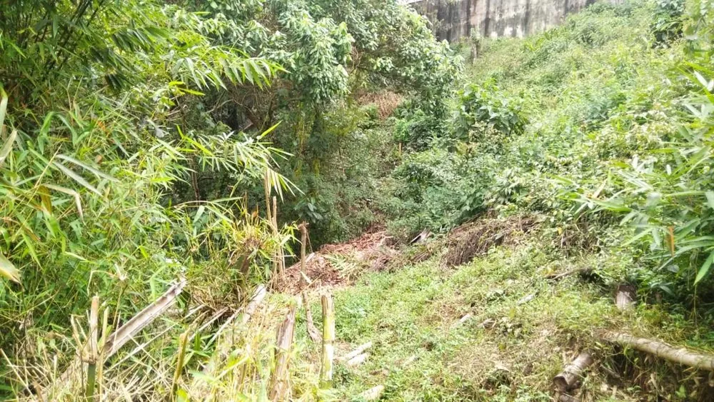 Terreno, 1440 m² - Foto 6