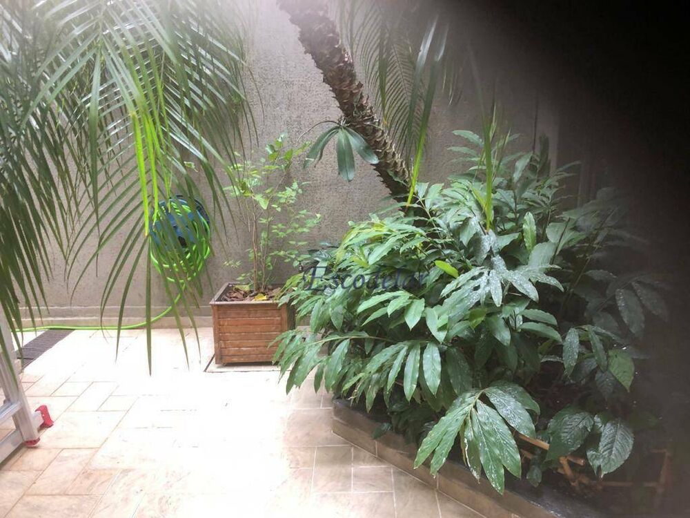 Casa, 4 quartos, 450 m² - Foto 12