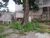 Terreno, 1120 m² - Foto 1