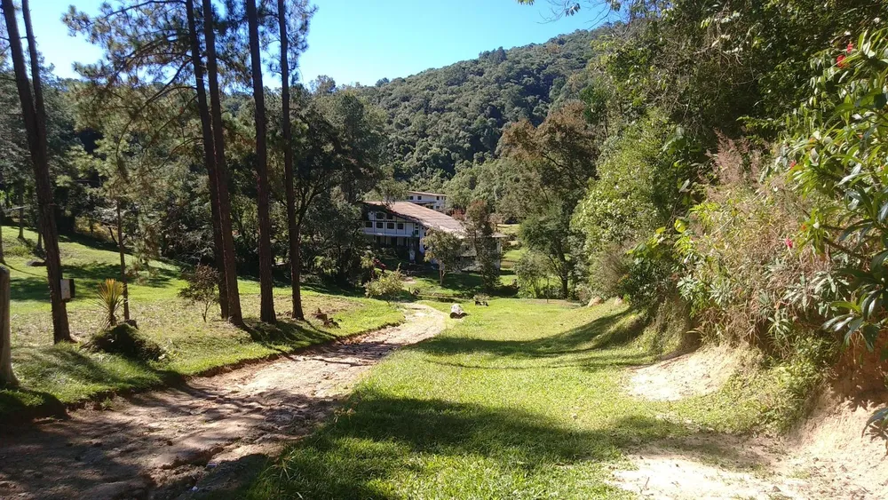 Sítio, 12 hectares - Foto 3